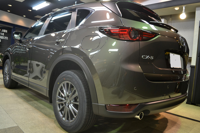 cx510.jpg