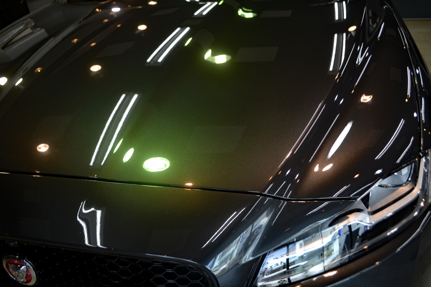jf8.jpg
