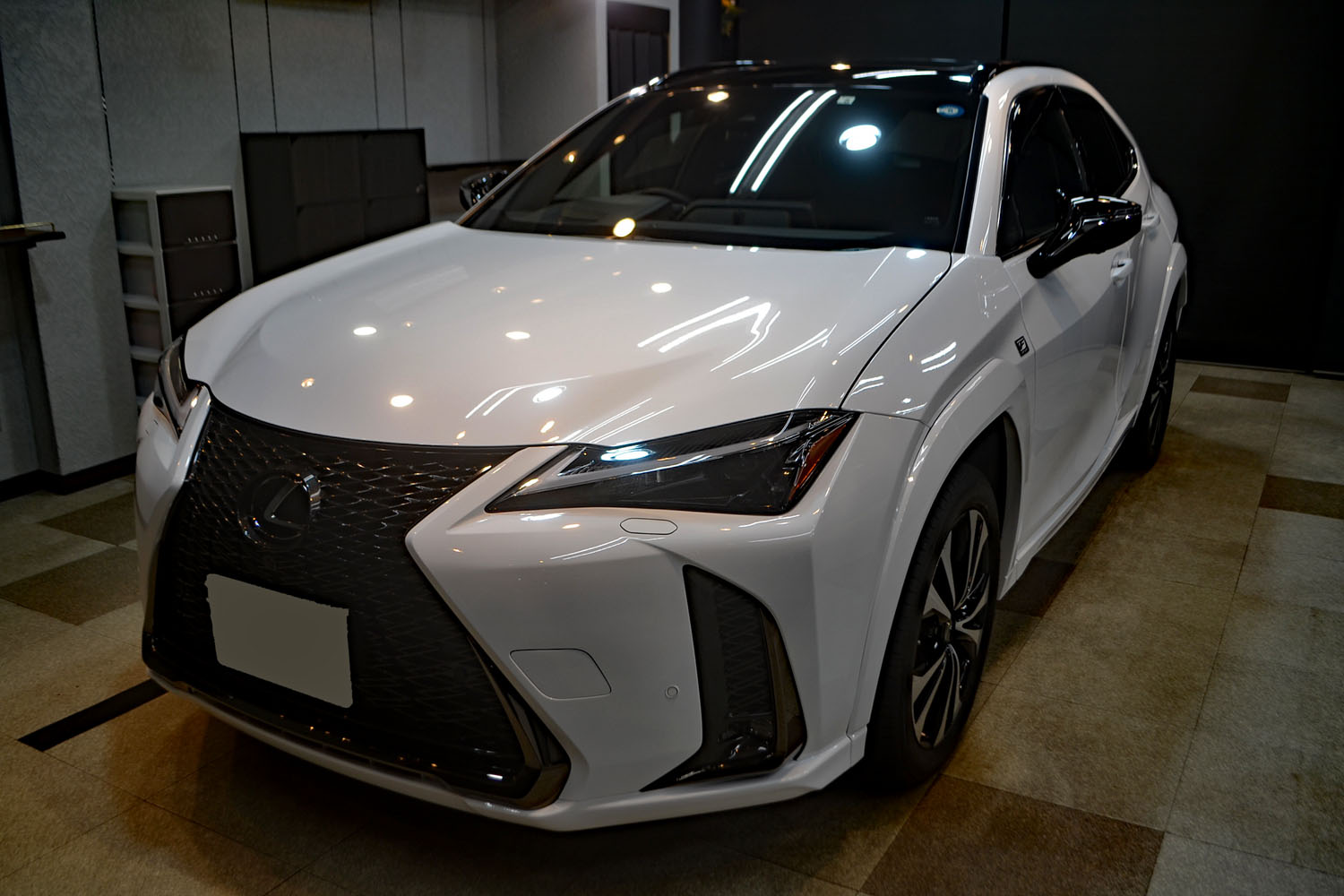 lxx3.jpg