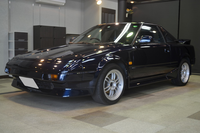 mr23.jpg