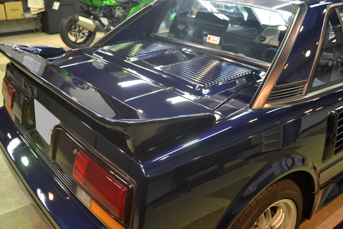 mr25.jpg