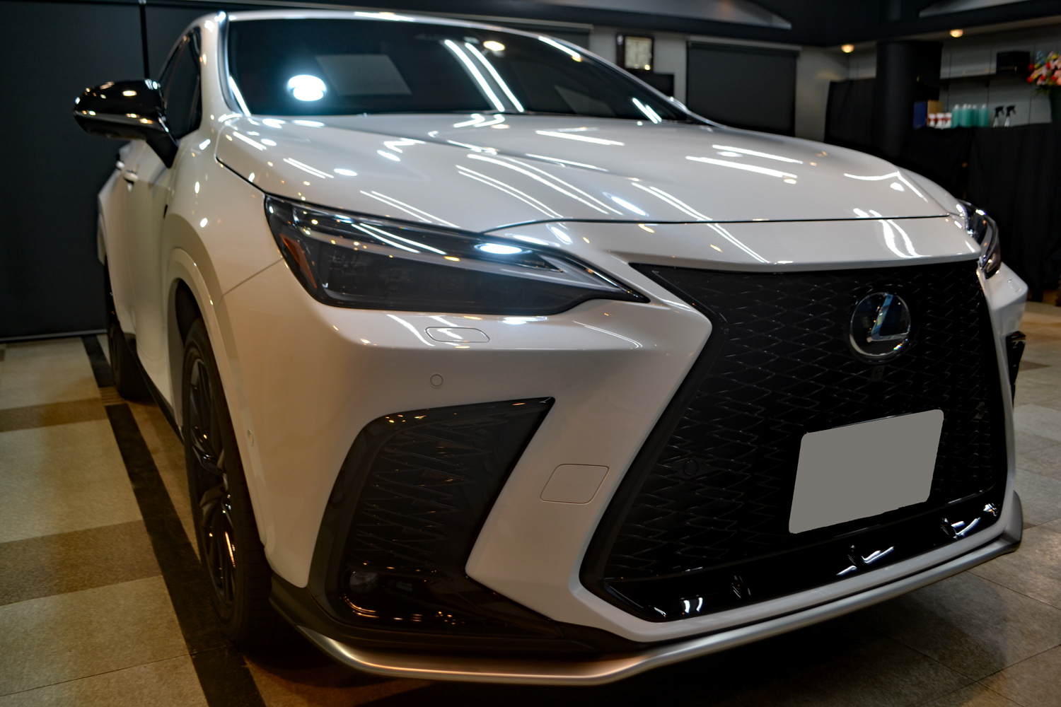 nx3501.jpg