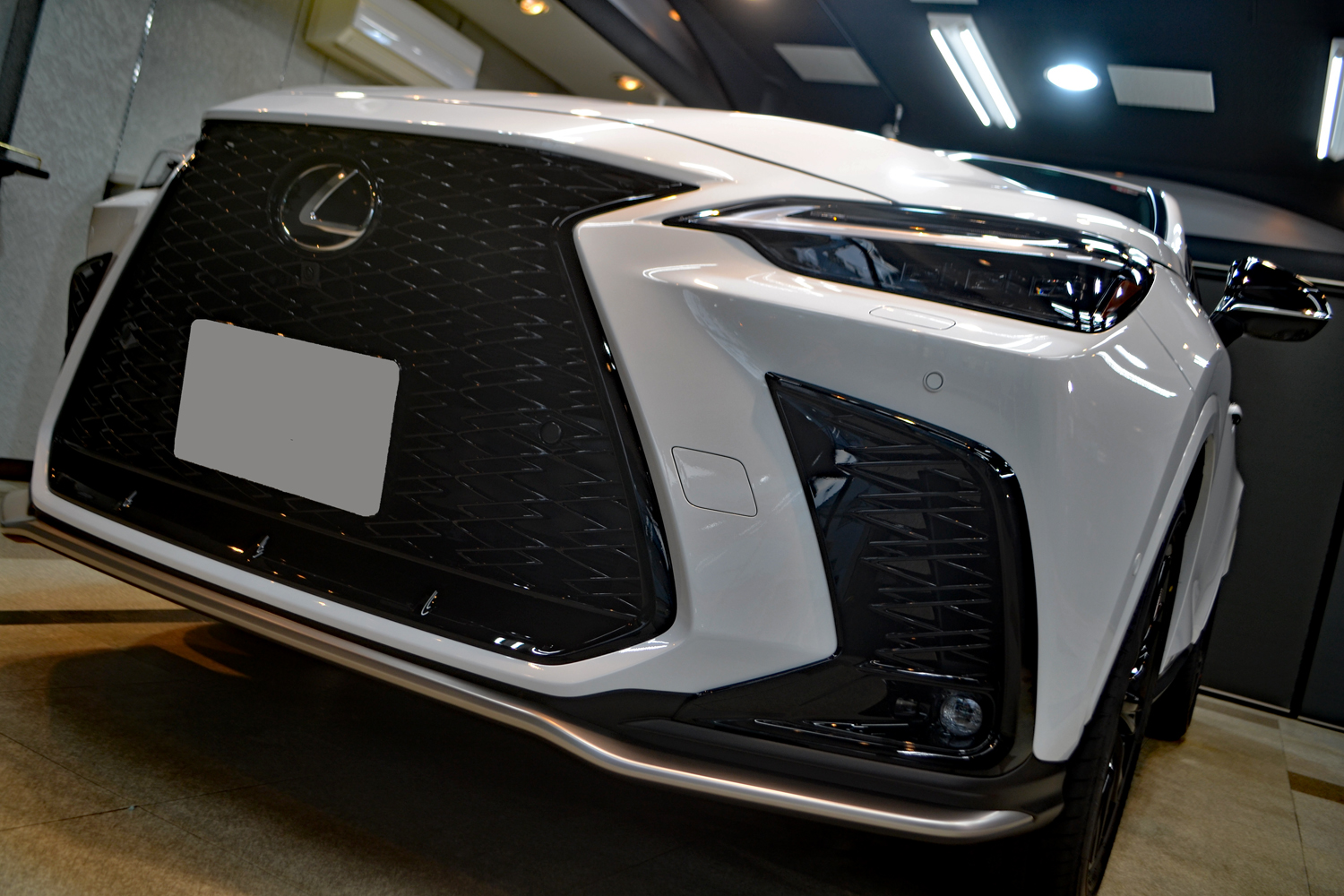 nx35010.jpg