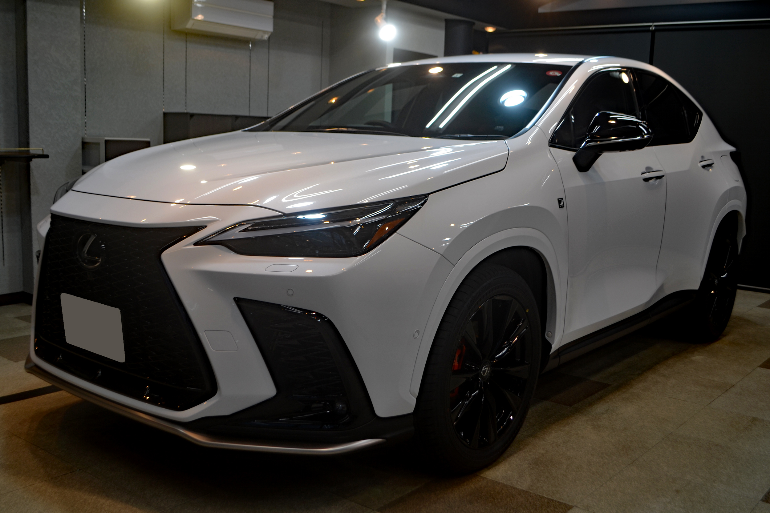 nx3503.jpg