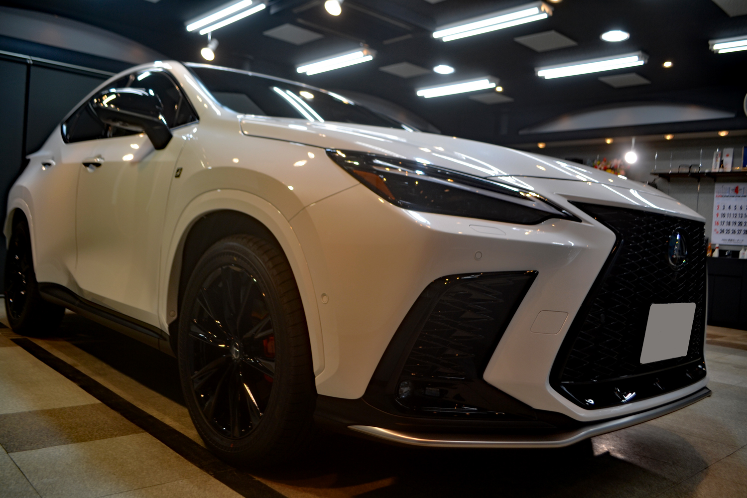 nx3504.jpg