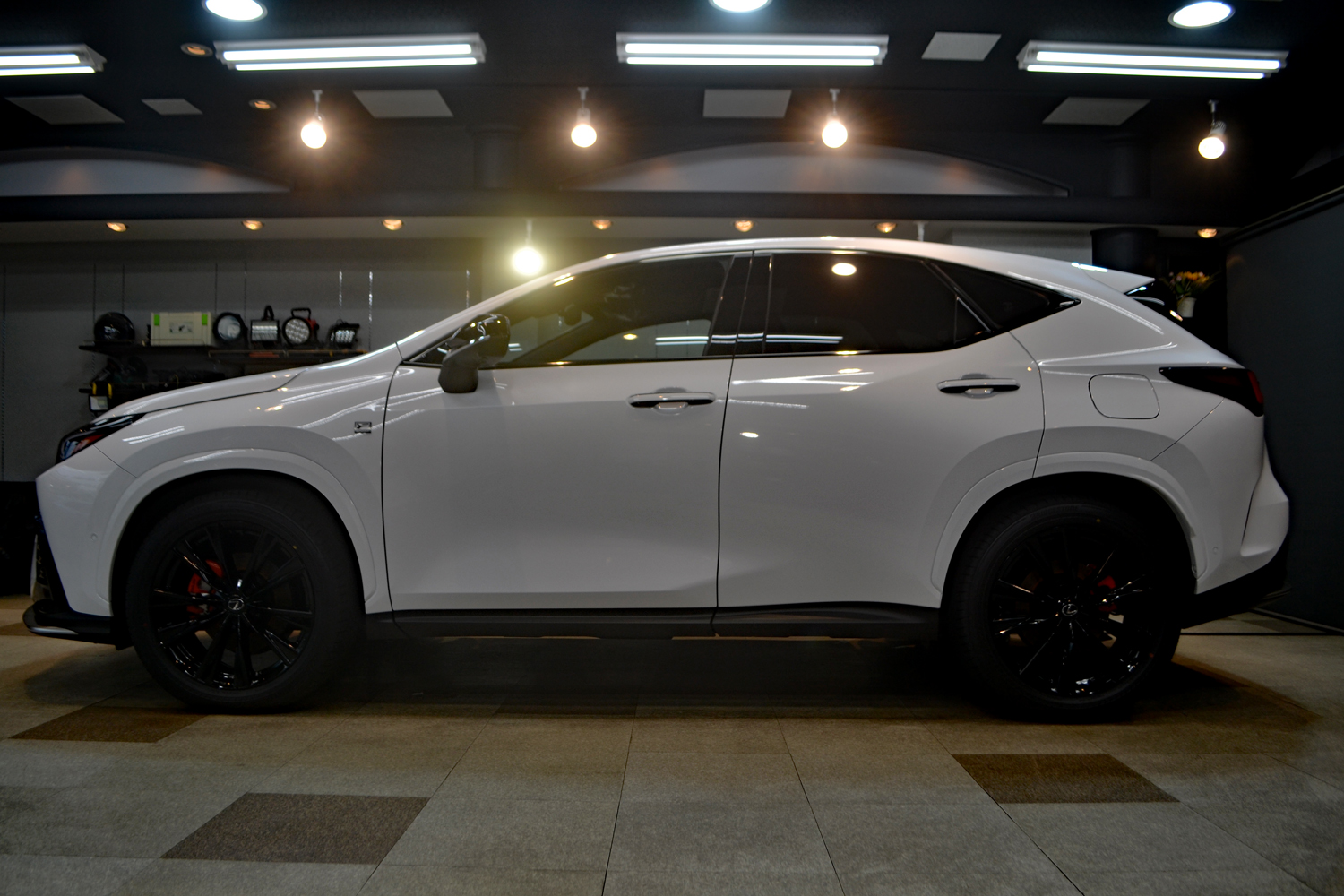 nx3505.jpg