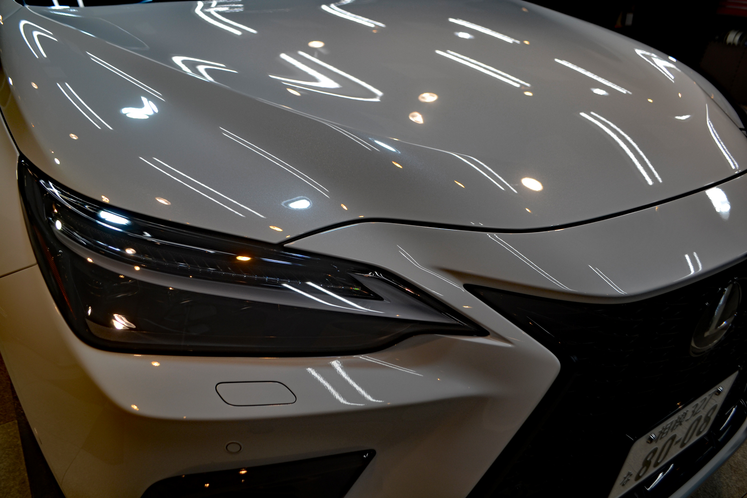 nx3508.jpg
